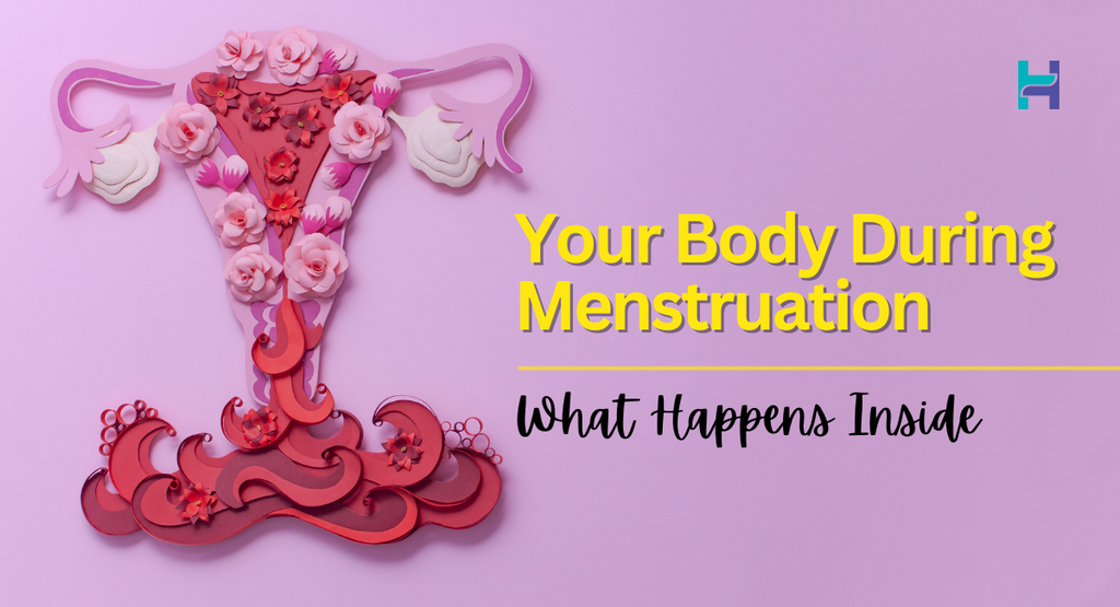 Your Body During Menstruation