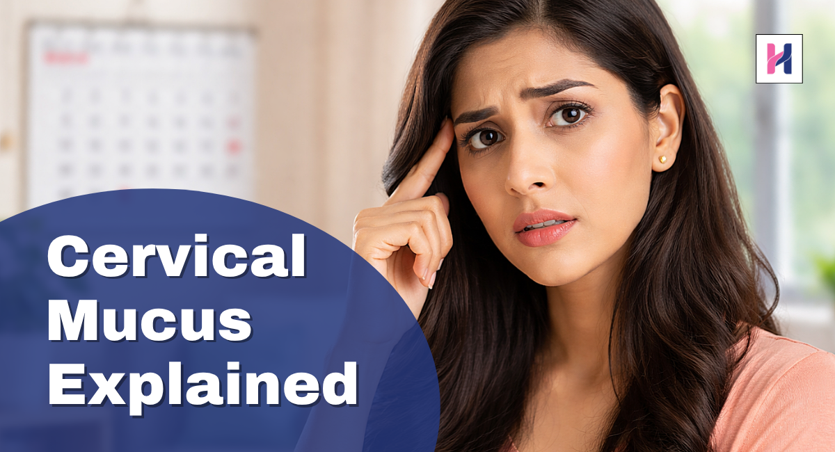 Cervical Mucus Explained Track Your Cycle the Right Way Healthfab