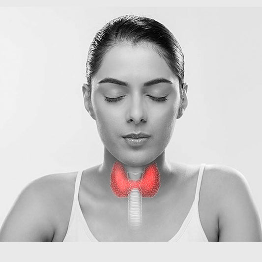 Thyroid Gland and Menstrual Health
