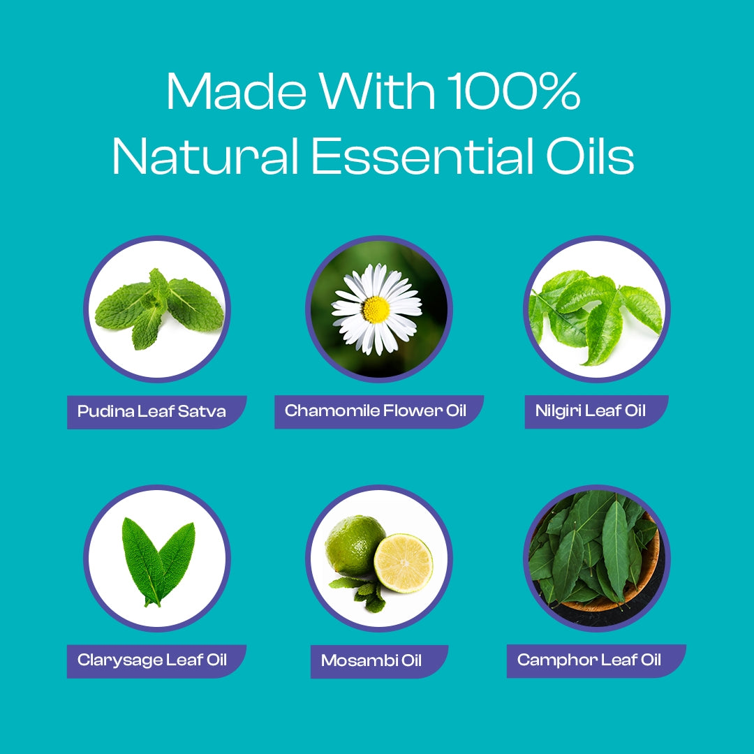 go pain free ingredients